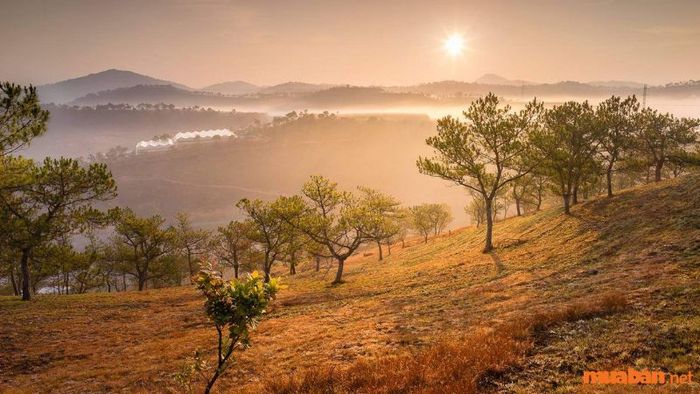 Đồi Thiên Phúc Đức Đà Lạt