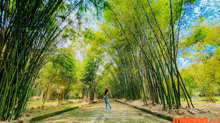 Địa điểm check in Bình Dương độc đáo