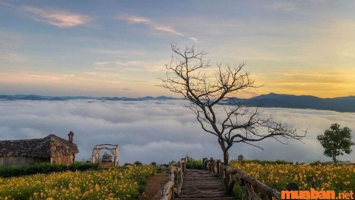 Đà Lạt - Thành phố mộng mơ là lựa chọn hợp lý cho câu hỏi tháng 12 nên đi đâu du lịch.