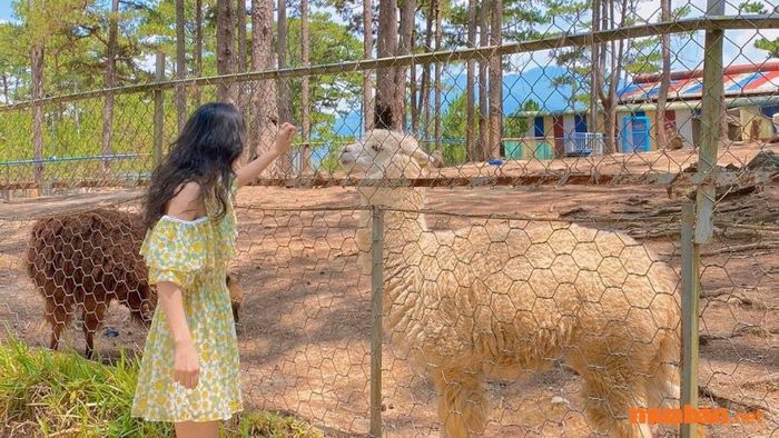Hướng dẫn di chuyển đến Vườn Thú ZooDoo