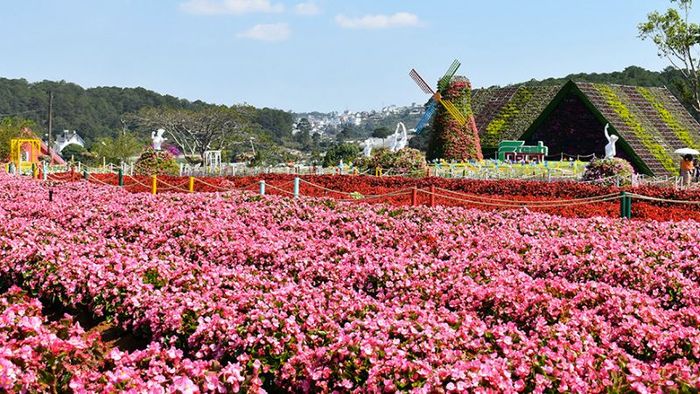 Những điều cần lưu ý khi ghé thăm Làng hoa Vạn Thành Đà Lạt