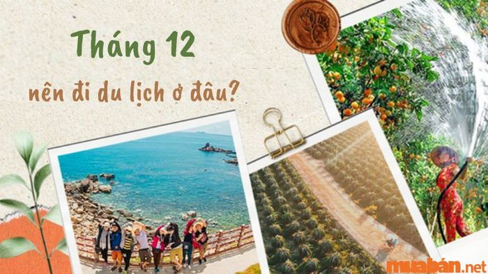Tháng 12, bạn nên khám phá những địa điểm du lịch nào? Top những điểm đến lý tưởng và hấp dẫn nhất