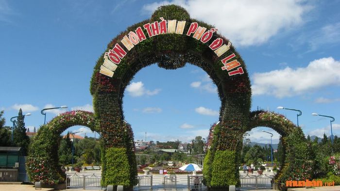 Vườn hoa Đà Lạt