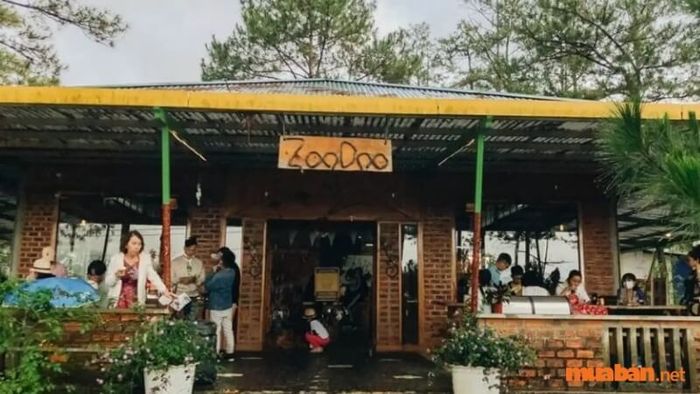 Thưởng thức cà phê với tầm nhìn rừng thông hùng vĩ