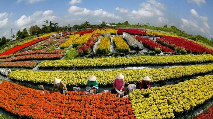 Trải nghiệm làm người trồng và chăm sóc hoa tại vườn