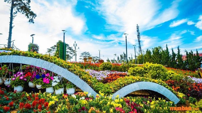 Tham gia vào Lễ hội hoa Đà Lạt nổi tiếng