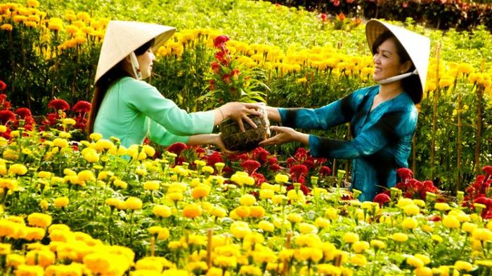 Khám phá khu vườn nông sản công nghệ cao