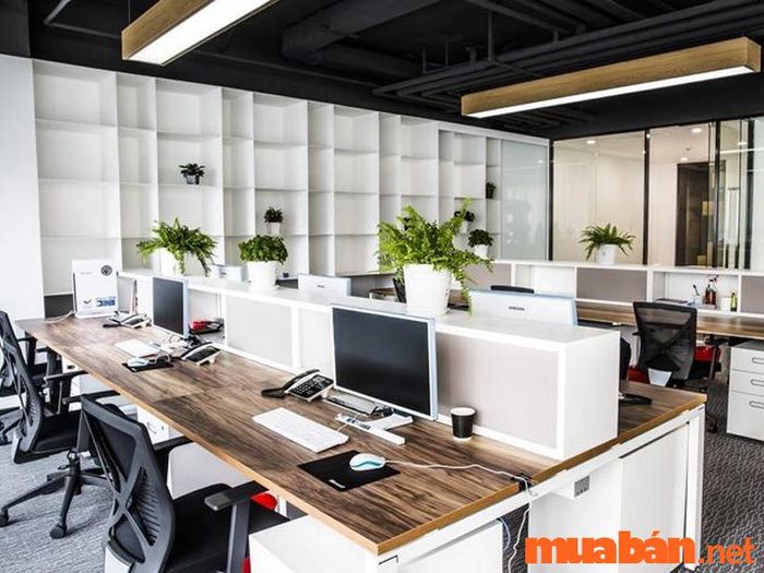 tạp vụ là gì?