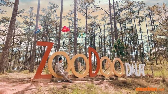 Khám phá Vườn Thú ZooDoo Đà Lạt