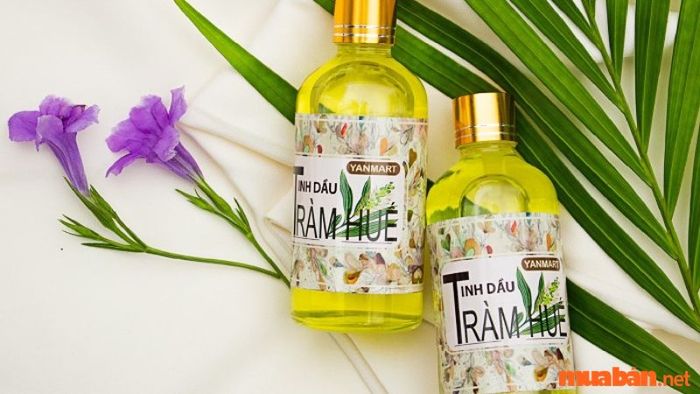 Tinh dầu tràm chất lượng Huế