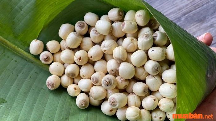 Hạt sen nổi tiếng của Huế