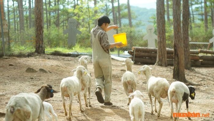 Giá vé tham quan tại Vườn Thú ZooDoo Đà Lạt