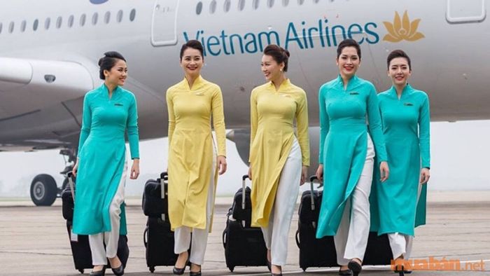 Mức lương của tiếp viên hàng không tại Vietnam Airlines