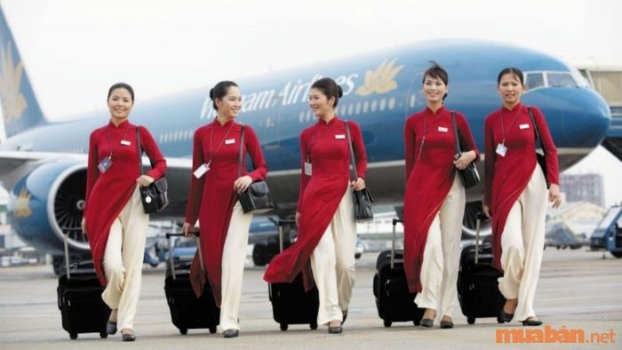Mức lương của nhân viên tiếp viên hàng không