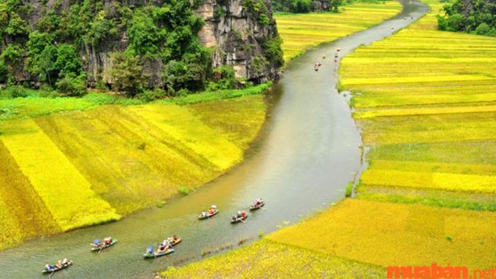 Tràng An vào mùa xuân