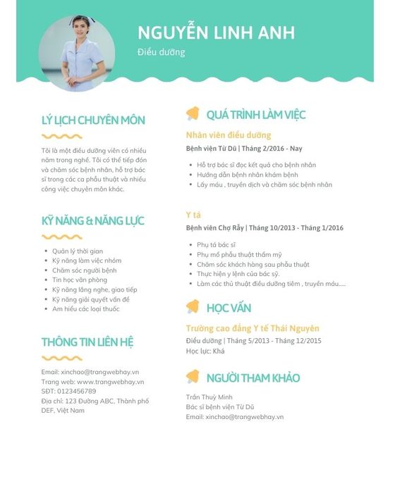 Mẫu CV xin việc điều dưỡng nổi bật 8 (Ảnh: Sưu tầm)