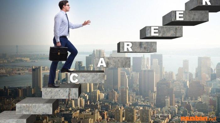 Cơ hội thăng tiến và mức lương của lễ tân văn phòng