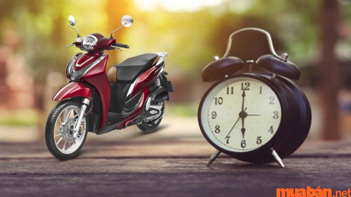 Dịch vụ cho thuê xe máy ở Đà Nẵng giúp bạn tự do hơn trong việc quản lý thời gian