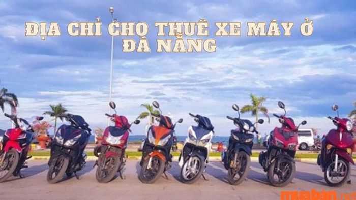 Những địa chỉ cho thuê xe máy đáng tin cậy tại Đà Nẵng