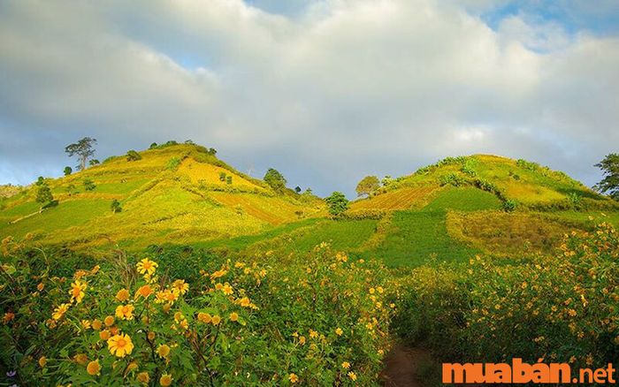 Pleiku có gì thú vị - Núi lửa Chư Đăng Ya