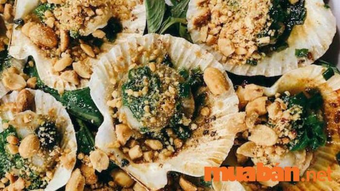 Sò điệp đặc sản Quảng Ngãi