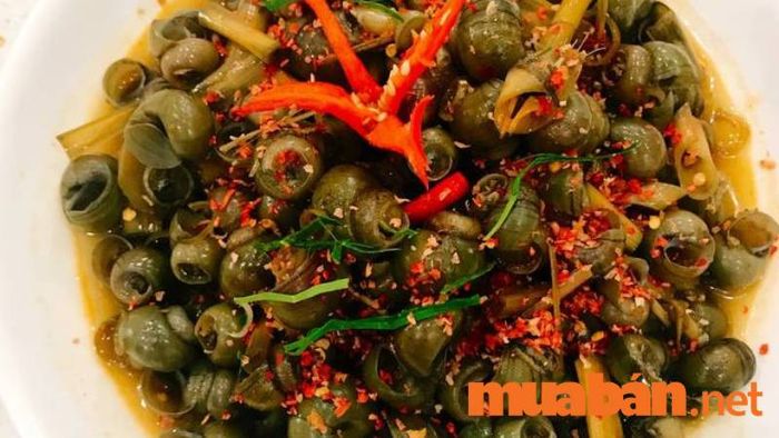 Ốc hút đặc sản Quảng Ngãi
