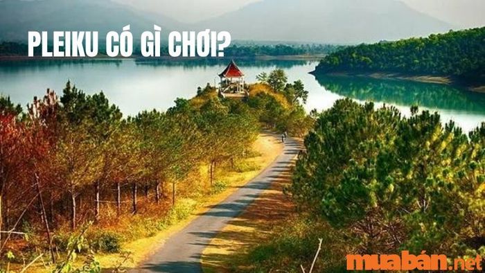 Pleiku có điều gì để trải nghiệm? Những kinh nghiệm du lịch Pleiku bạn không thể bỏ lỡ!