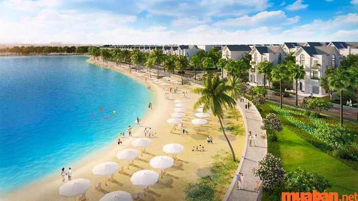 Vinhomes Ocean Park có những hoạt động gì thú vị? Một cái nhìn tổng quan về Vinhomes Ocean Park
