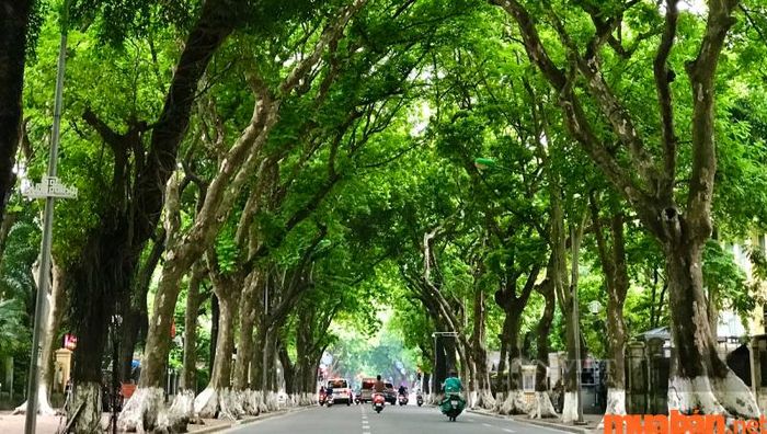 Valentine nên đi đâu ở Hà Nội: Phan Đình Phùng