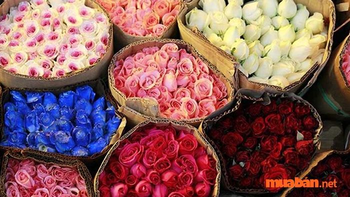 Nên chọn những bông hoa tươi nhất