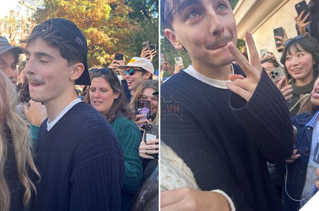 Timothée Chalamet khiến mọi người bất ngờ khi không thể giành chiến thắng trong cuộc thi tìm kiếm người có ngoại hình giống mình lần thứ ba.