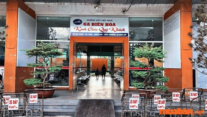 Có những hoạt động nào thú vị ở Biên Hòa vào ban đêm?