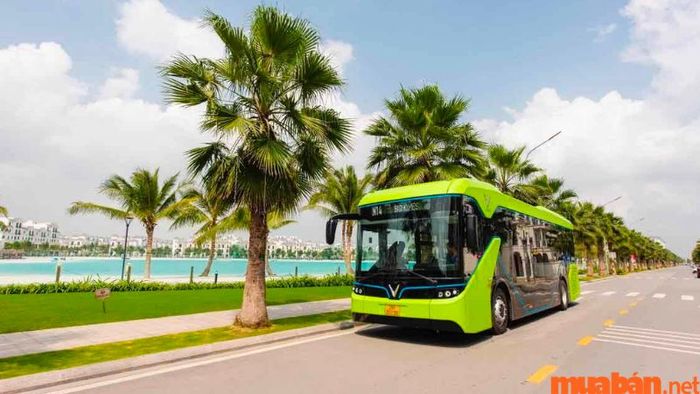 Vinhomes Ocean Park có những hoạt động gì? Di chuyển tham quan Vinhomes Ocean Park dễ dàng bằng VinBus