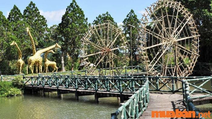 Pleiku có gì thú vị - Công viên Đồng Xanh