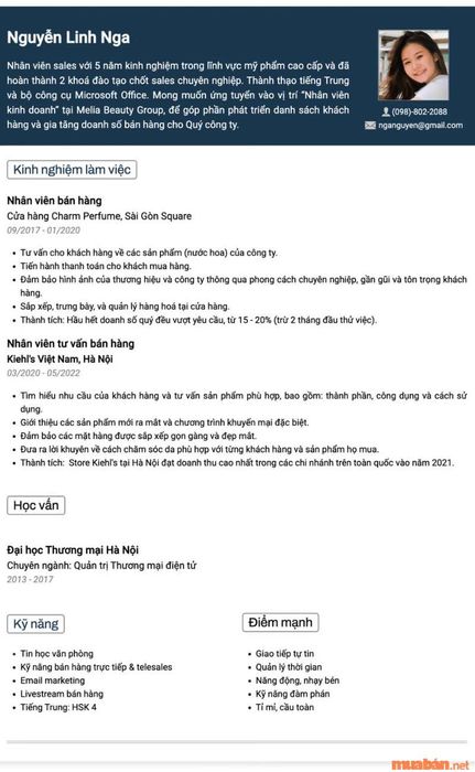 Mẫu CV cho nhân viên bán ô tô