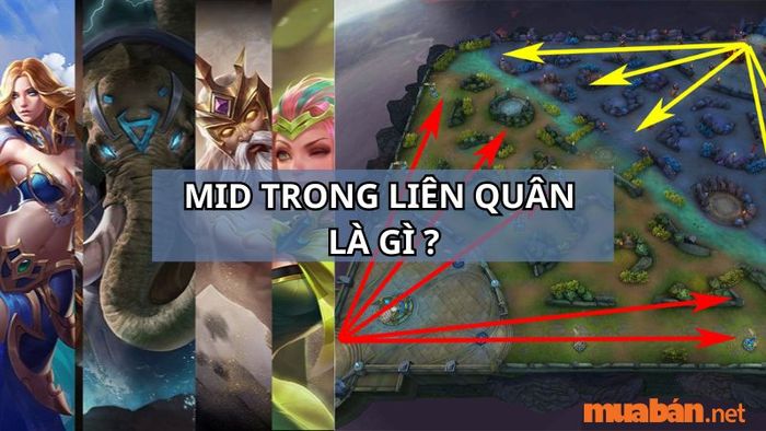 Mid trong Liên Quân nghĩa là gì?