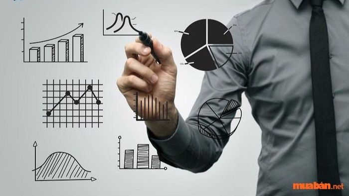Chi tiết công việc của Giám đốc Tài chính