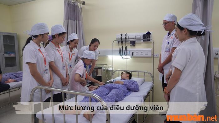 Mức lương của điều dưỡng viên