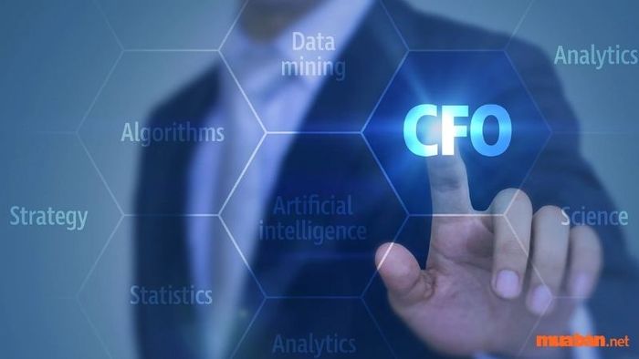 Mô tả công việc của Giám đốc Tài chính 4