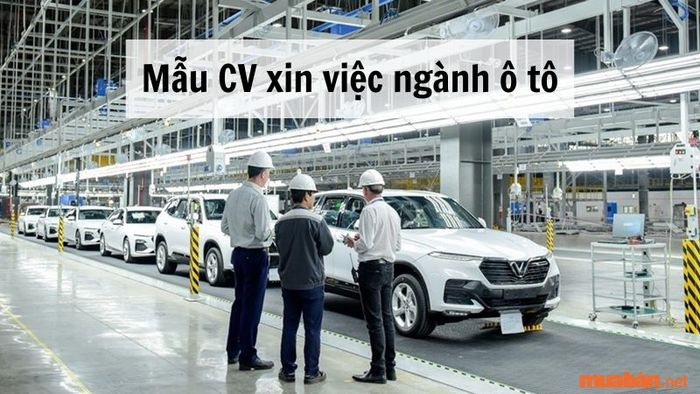10+ Mẫu CV xin việc ngành ô tô chuyên nghiệp cho từng vị trí