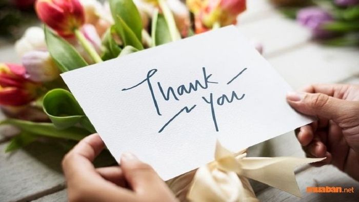 Thư chia tay đồng nghiệp ý nghĩa và cảm động