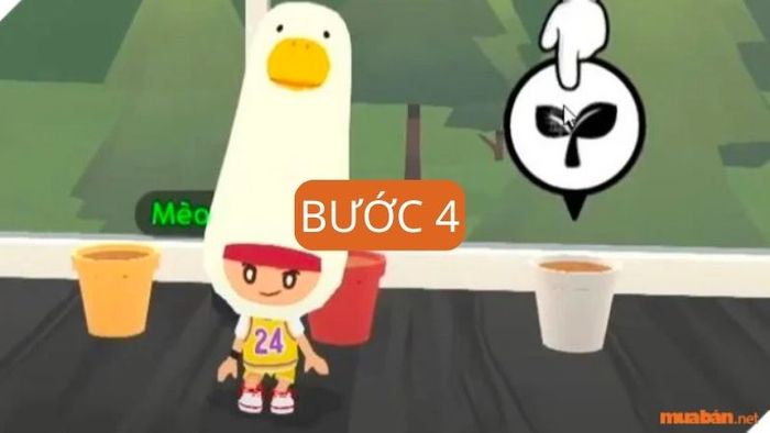 Bước 4: Lựa chọn hoa để trồng