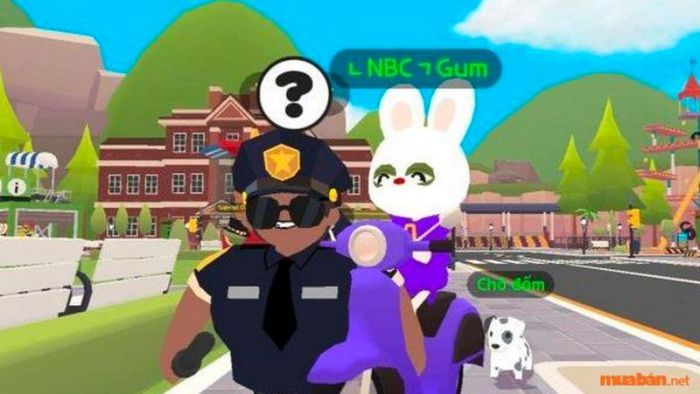 Tìm túi, tìm chó