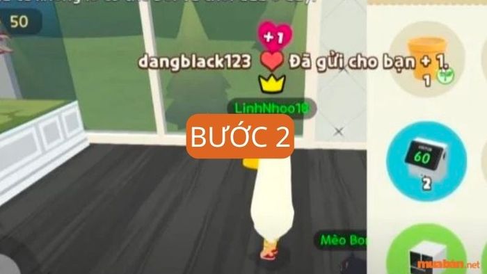 Bước 2: Chọn và mua chậu cây