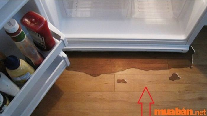 Tủ lạnh bị rỉ nước