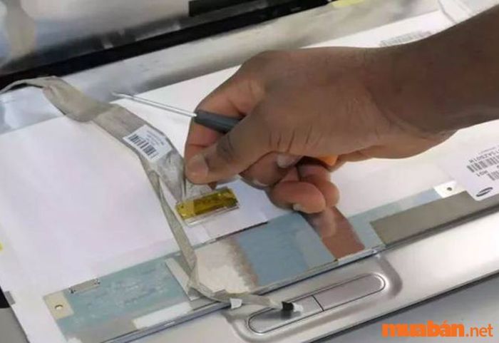 Kiểm tra kết nối cáp của máy