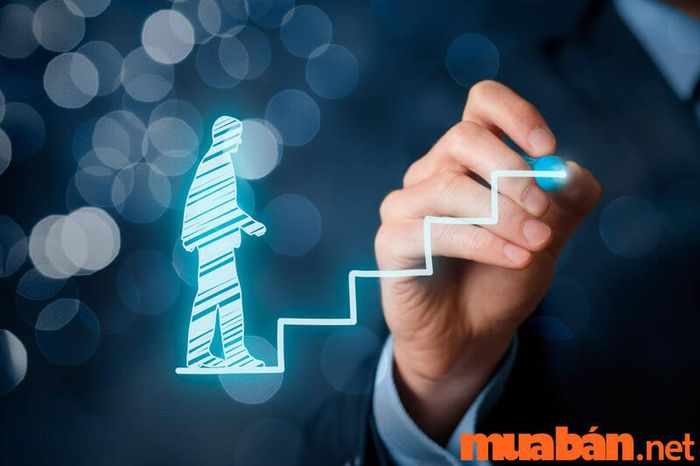 Phân loại Career Path theo chiều dọc và chiều ngang
