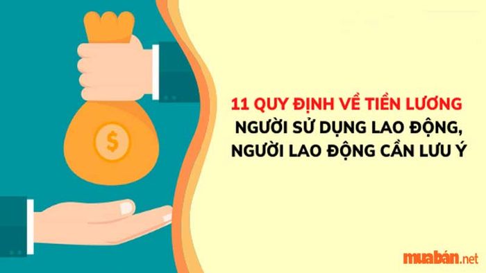 Giam lương là gì? Những quy định về lương mà người lao động cần nắm vững
