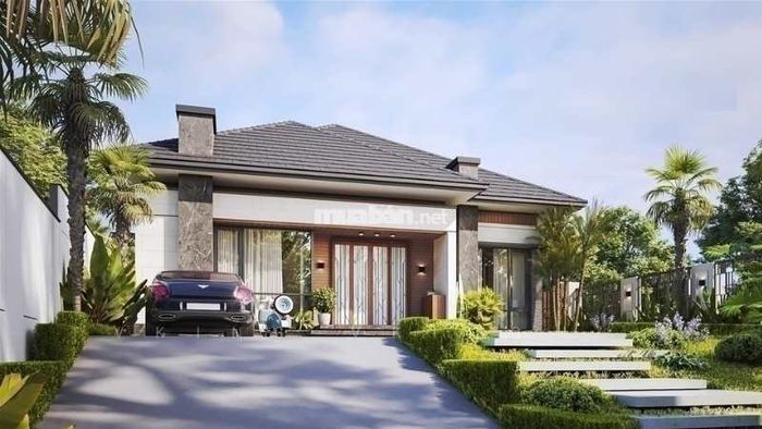 Sử dụng cửa kính lớn để mở rộng không gian và tận dụng ánh sáng tự nhiên.