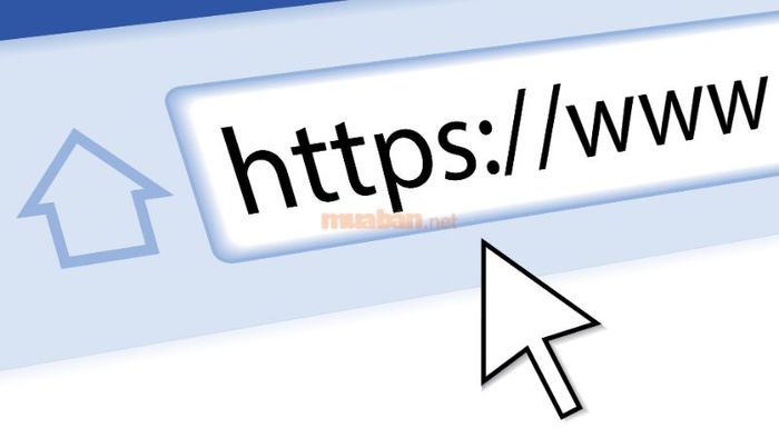 Chọn trang web uy tín để đăng tin cho thuê nhà.
